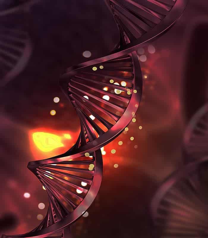 ایمونوتراپی 2